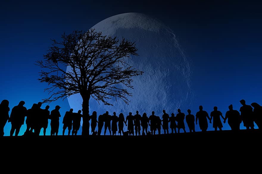 mặt trăng, con người, Mọi người, nhóm, nhóm người, gia đình, hình bóng, cộng đồng, lý lịch, ban đêm, cây