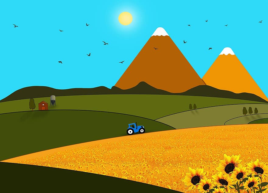 слънчогледи, полета, земеделска земя, селско стопанство, планини, хълмове, слънчева светлина