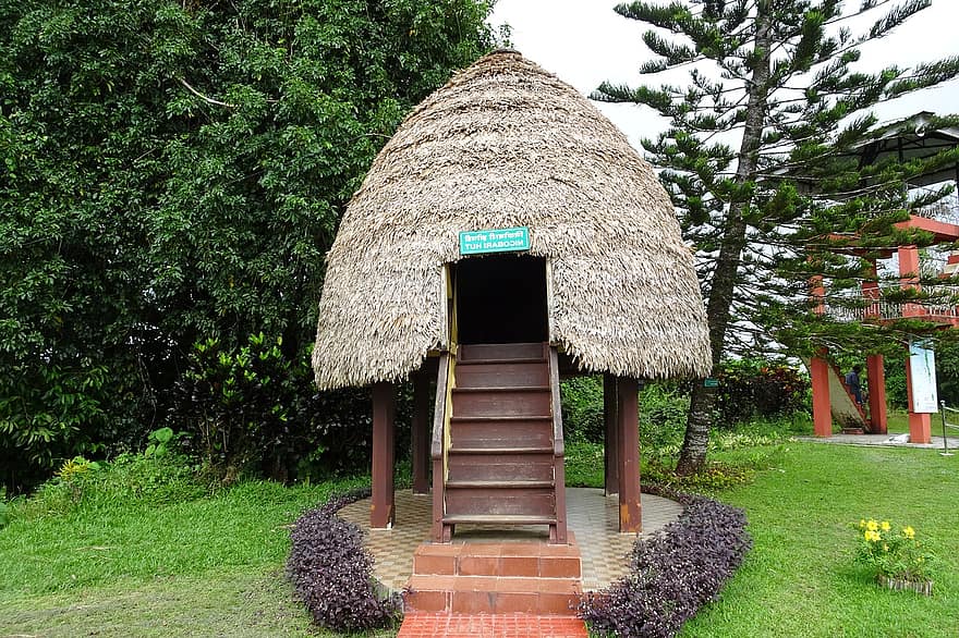 cabane, traditionnel, au toit de chaume, tribal, Andaman