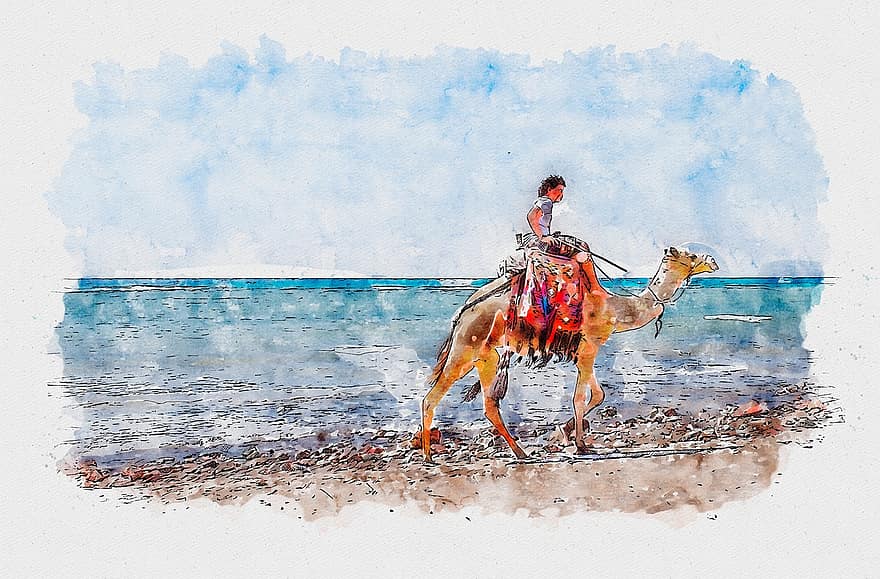 kamel, strand, bild, vattenfärg, hav, sand, häst, egypten