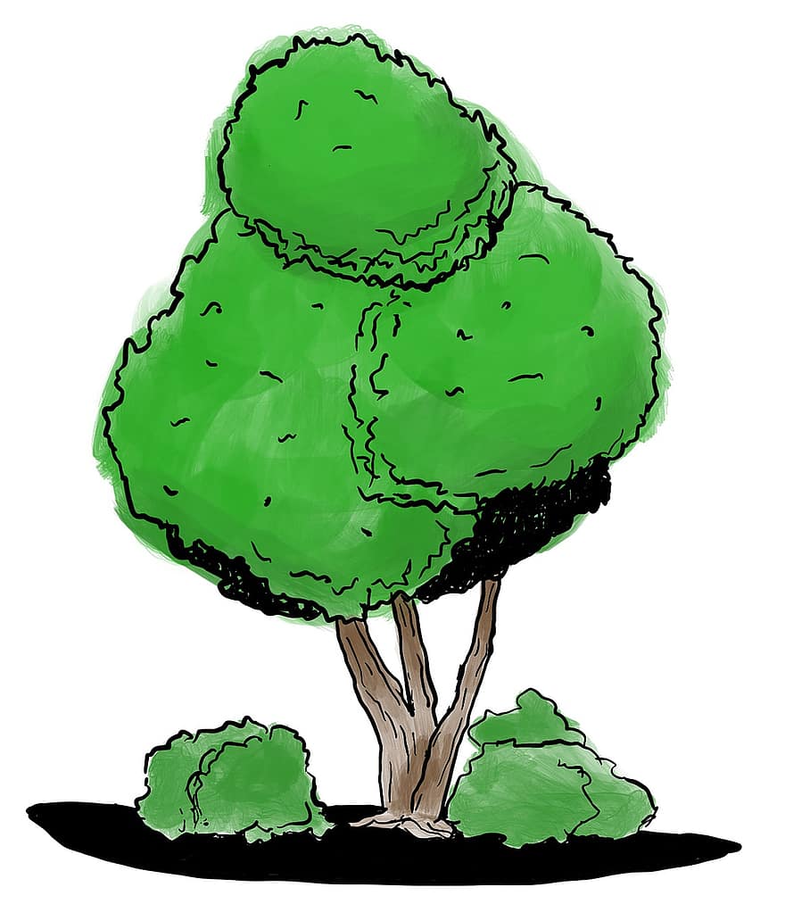 ilustrace, Příroda, list, umění, grafický, rostlina, strom