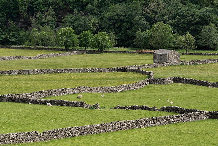 сухие каменные стены, сельхозугодий, сарай, стена, сельская местность, поле, Йоркшир
