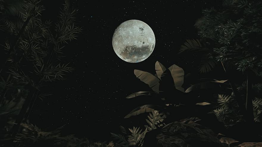 księżyc, Natura, noc, satelita, astronomia, na dworze, widok, niebo, Tapeta, gwiazdy, kosmos