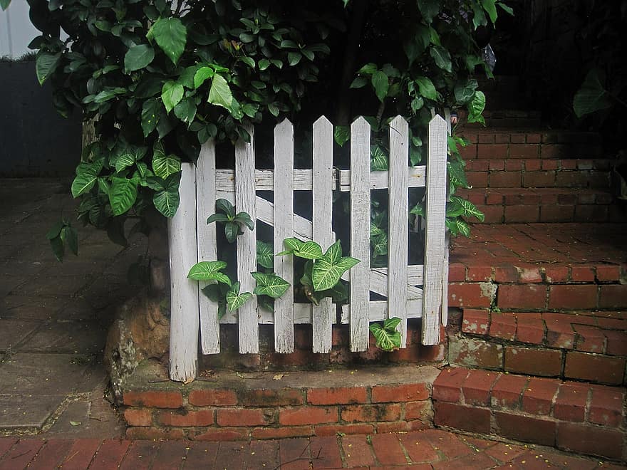 бяла ограда, дървен, дървена ограда, ограда от колове, стълбище, градина, стъпки, тухли, външност, растения
