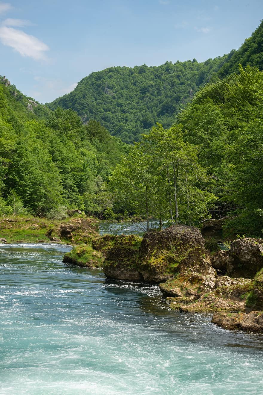 folyó, erdő, természet, víz, folyam, fák, hegyek, folyó víz, színpadi, una folyó, Bosznia és Hercegovina