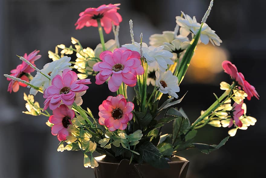 bunga-bunga, vas, dekorasi, berkembang