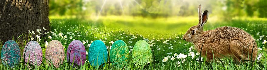 банер, Великдень, заєць, краєвид, яйце, дерево, квітка, луг, кольорові, барвисті, Пасхальне яйце