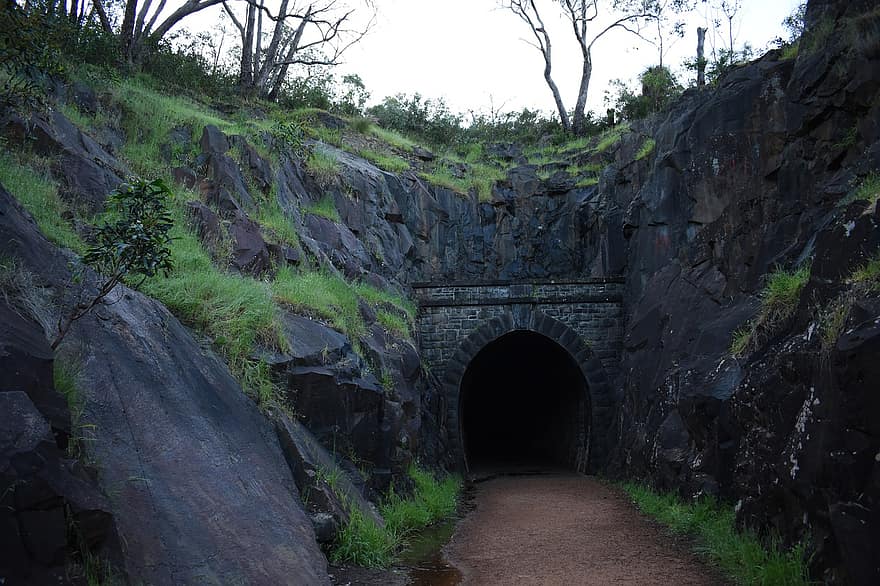 тоннель, путь, Железнодорожный, Дорога, горные породы, под землей, поезд, железнодорожный тоннель, растения