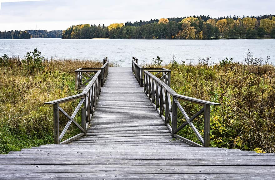 jezero, promenádě, podzim, dřevěná paluba, zábradlí, schody, dok, molo, stromy, voda, Příroda