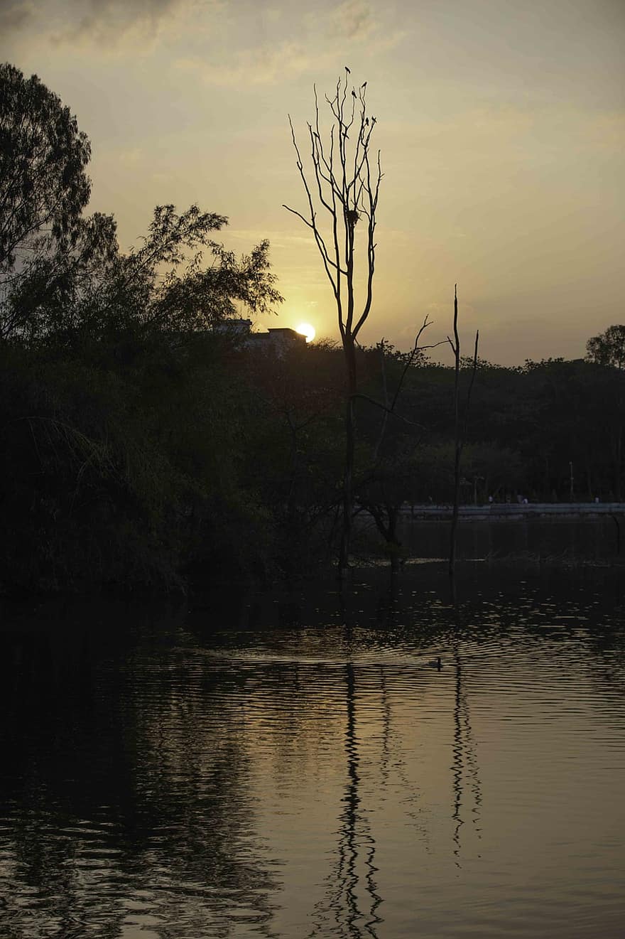 озеро, Санки Танк, заход солнца, река, вечернее солнце, вечернее небо, Кодандарампура, Маллесварам, Бенгалуру, Карнатака, дерево