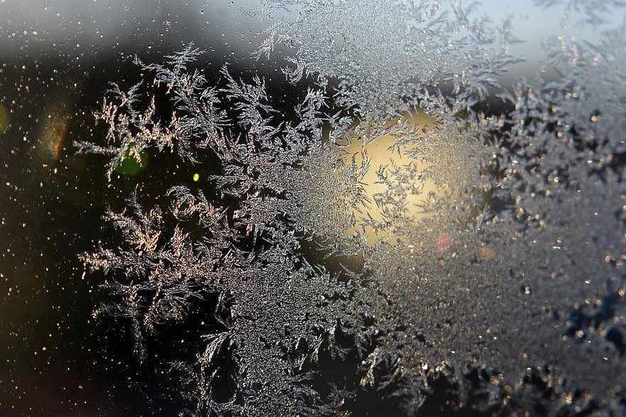 frost, fönster, vinter-, kall, frysta, bakgrunder, abstrakt, närbild, natt, mönster, säsong