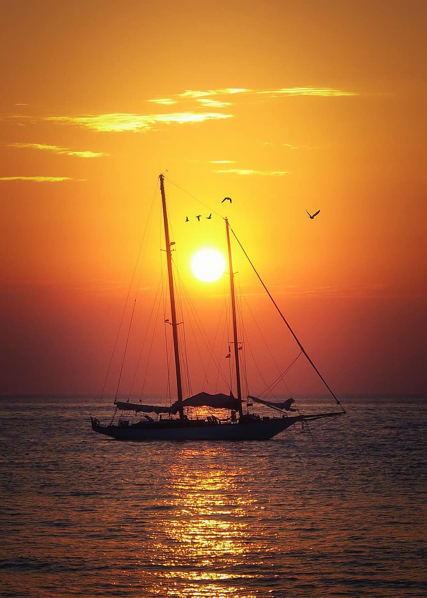 barco, mar, por do sol, passarinhos, crepúsculo, viagem, oceano, ao ar livre, embarcação náutica, barco a vela, vela