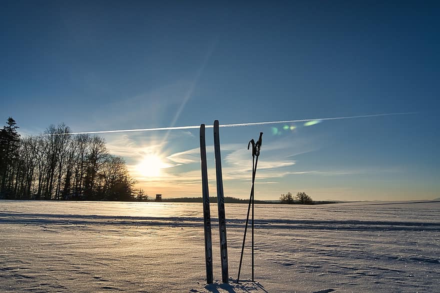 main ski, salju, bidang, lapangan salju, sinar matahari, pohon, siluet pohon, dingin, embun beku, sangat dingin, musim dingin