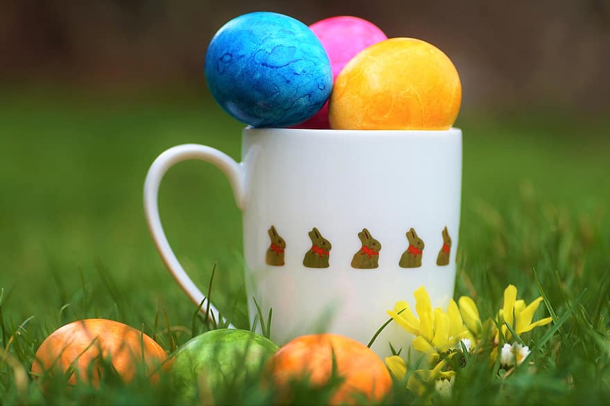 telur, cangkir, Paskah, Telur Paskah, telur berwarna-warni, berburu telur, latar belakang paskah, rumput, waktu bagian timur