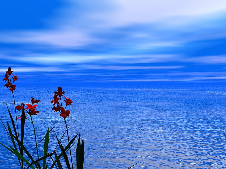 mare, ocean, apă, cer, nori, artă, flori, plante, albastru arta, planta albastră
