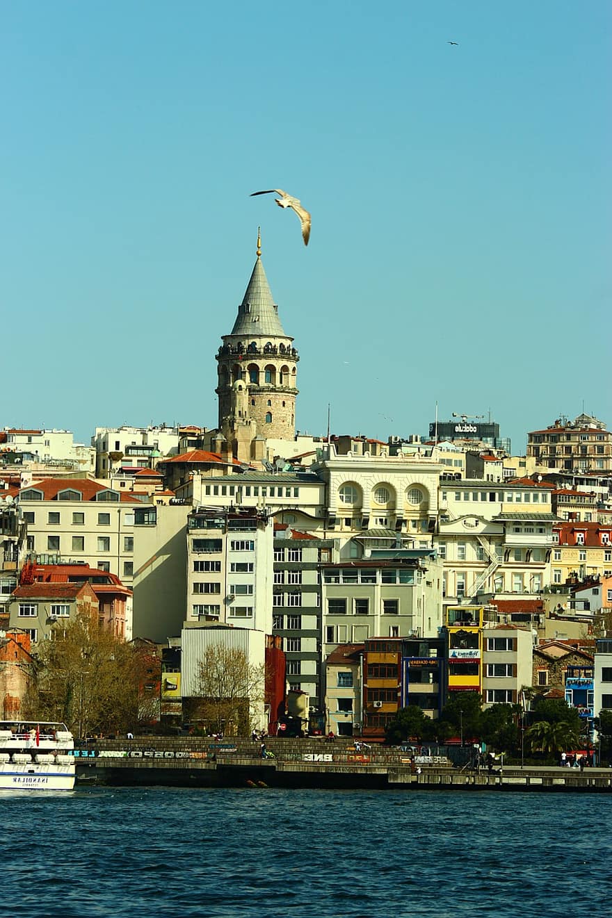 갈라 타 타워, 강어귀, 이스탄불의 해협, 시티, 건축의, 도시 풍경, 건축물, 유명한 곳, 여행, 갈매기, 미나렛