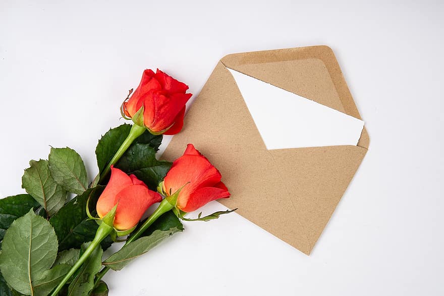 fleurs, des roses, lettre, invitation, courrier, Valentin, mariage, papier, vacances, amour, carte