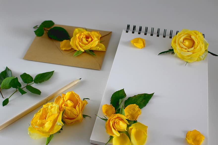 blocnote, rozen, brief, gele rozen, pen, envelop, liefdesbrief, Notitie, notitieboekje, dagboek, schrijven