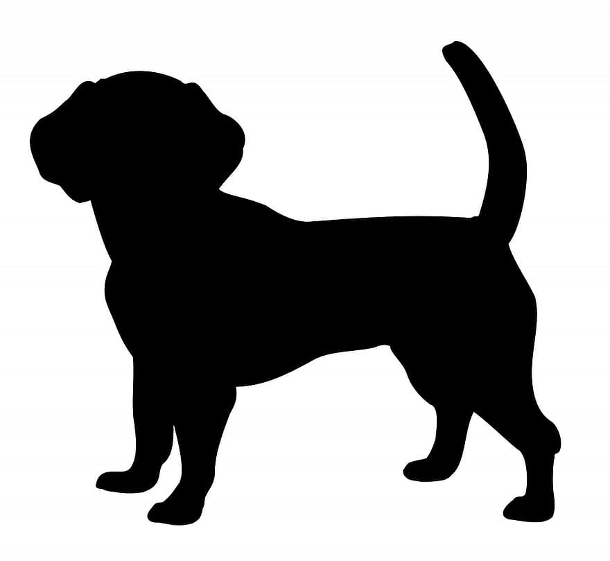 hund, sällskapsdjur, vän, djur-, silhuett, isolerat, svart, vit, bakgrund