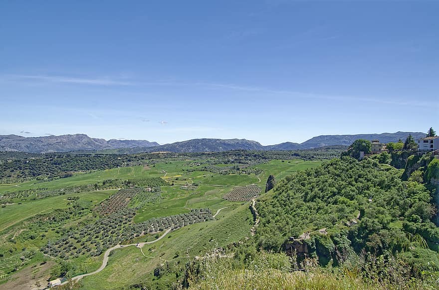 Ispanija, Andalūzija, Malagos provincija, kraštovaizdį, panorama, perspektyvos, kalnai, medžiai, kaimo scenoje, kalnas, žalia spalva