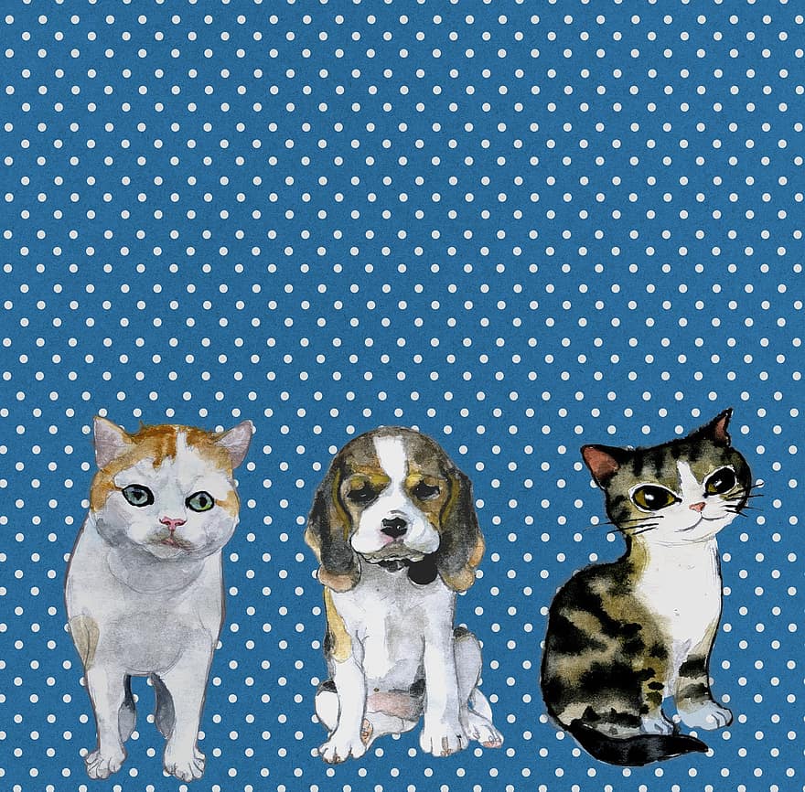 katter, hund, kjæledyr, kattunge, valp, søt, polka prikker, mal, dyr, lære bort, hjemmelekser