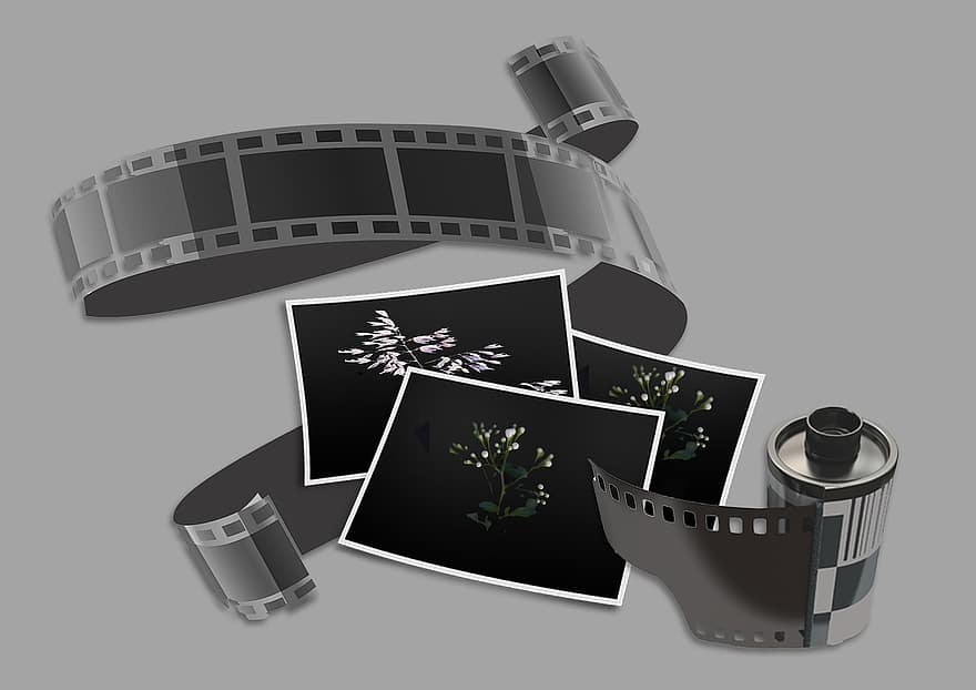 filminauha, negatiivinen, filmirulla, mustavalkoinen, kuvien, mustavalkoinen valokuva, analoginen elokuva, valokuvaus, nostalgia, analoginen, elokuva