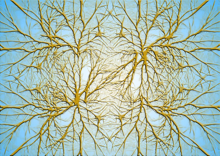 neuroni, celule nervoase, structura creierului, creier, reţea, împletitură de nuiele, plasă, fire, țesut, plasă de sârmă, integrare