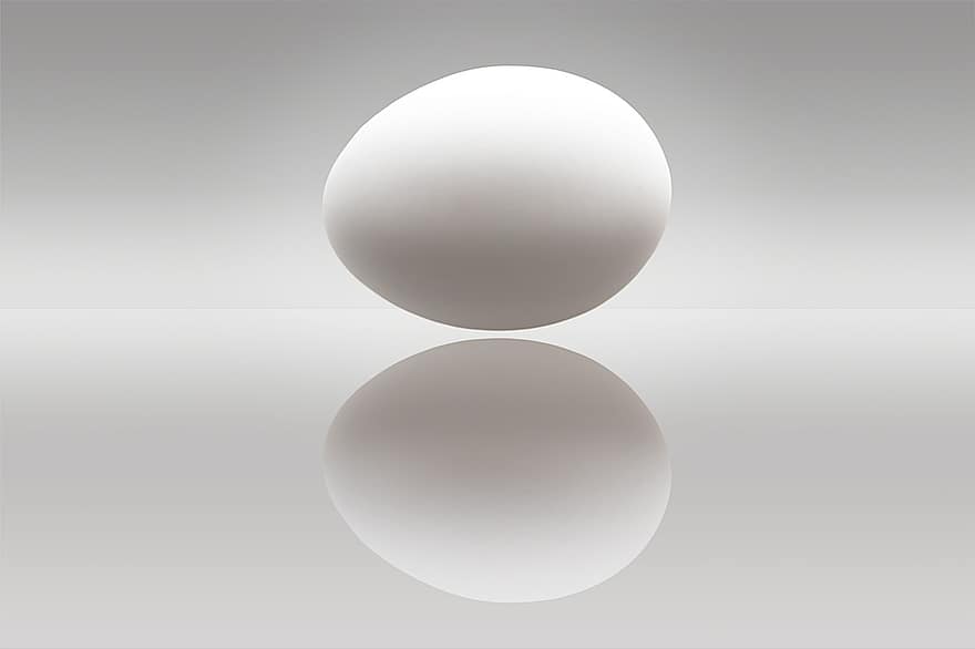 Egg, Hen's Egg, Protein, Ovoid, Nutrition, Ingredient, Float