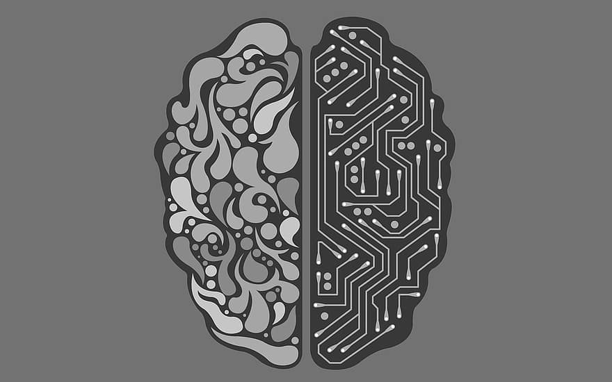 inteligência artificial, ai, robô, android, andróide, inteligência, saúde, cérebro, Gray Health, Cérebro cinzento