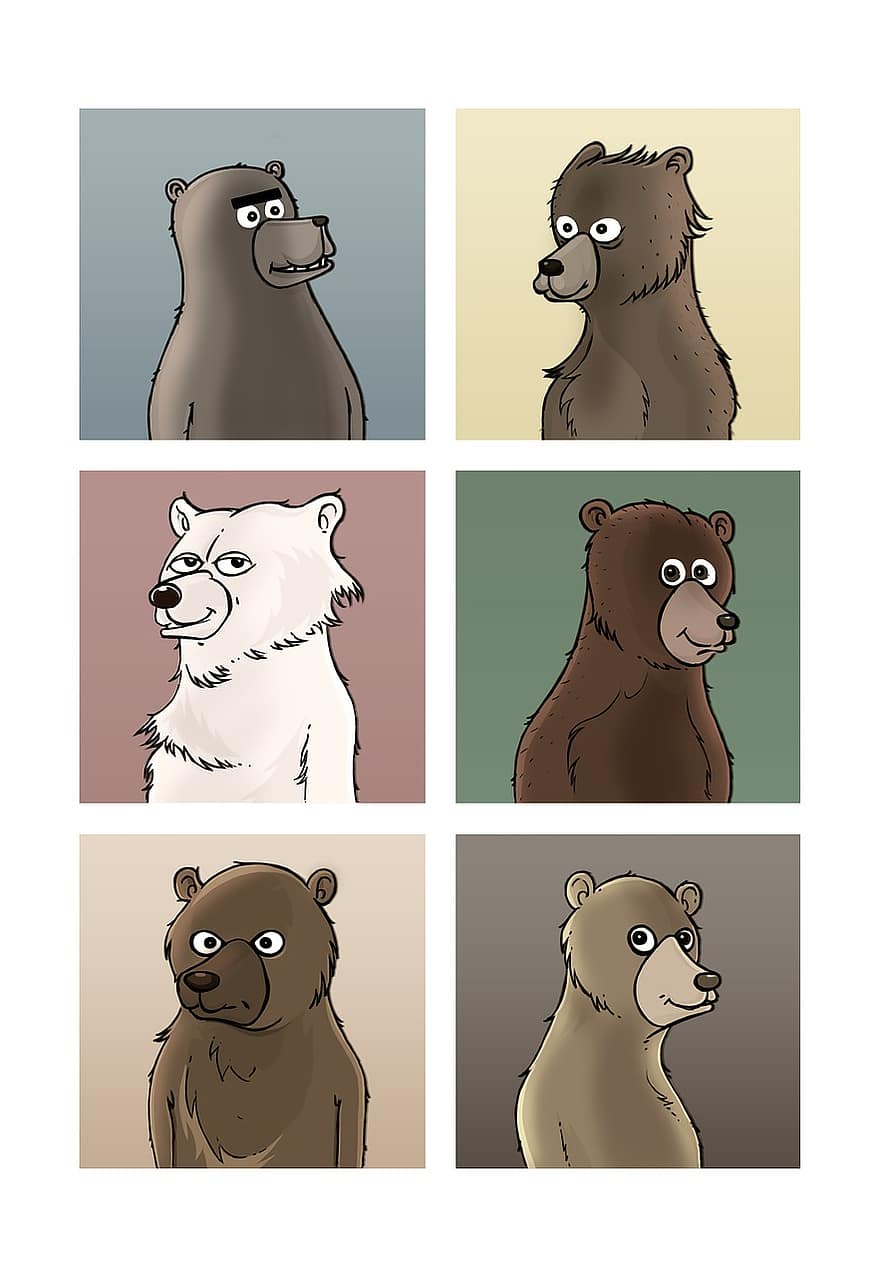 osos, animales, retrato