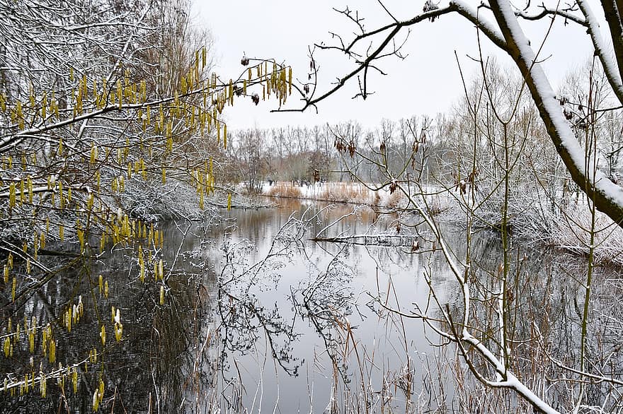 Landscape, Winter Landscape, Nature, Pond, View, Catkins, Hazel, Overblown, Snow, Gray Sky, Winter