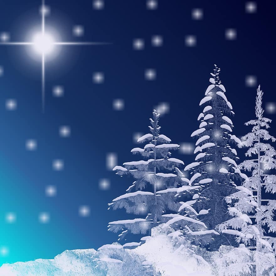 дървета, зима, празник, духовен, заден план, син, зимни дървета, сезон, Коледа, бял, сняг