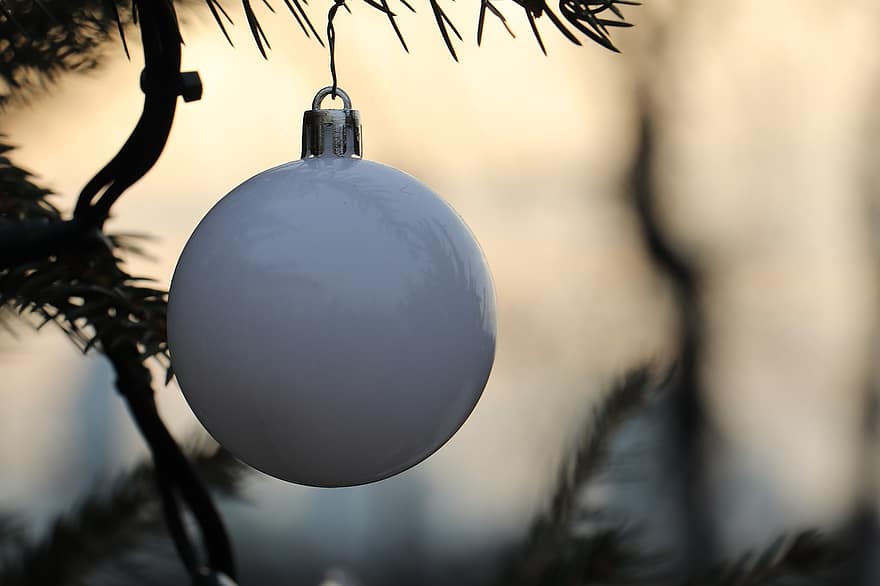 drzewko świąteczne, dekoracja, biała piłka, dekoracyjny, Adwent, wakacje, uroczystość, zbliżenie, drzewo, pora roku, zimowy
