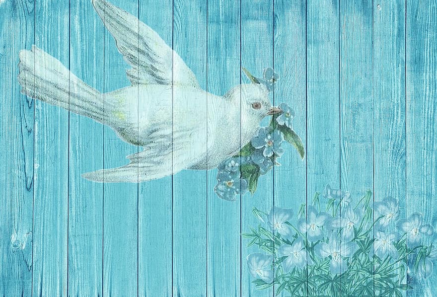 Dove, White Dove, Bird, White, Plumage, Background, Blue, Decoration, Deco, On Wood, Wood