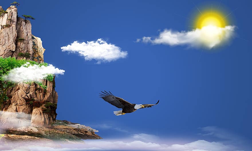 oiseau, Aigle, des nuages, ciel, Montagne, la nature, en plein air, en volant, ornithologie, espèce, faune