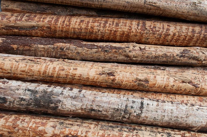 legna, materiale da costruzione, tronchi d'albero, legname, albero, pila, industria del legname, sfondi, foresta, tronco d'albero, avvicinamento