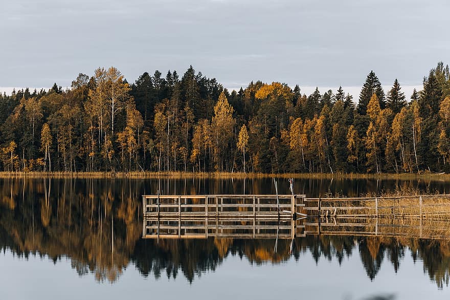 jezero, Nadvodní promenáda, podzim, Příroda, les, krajina