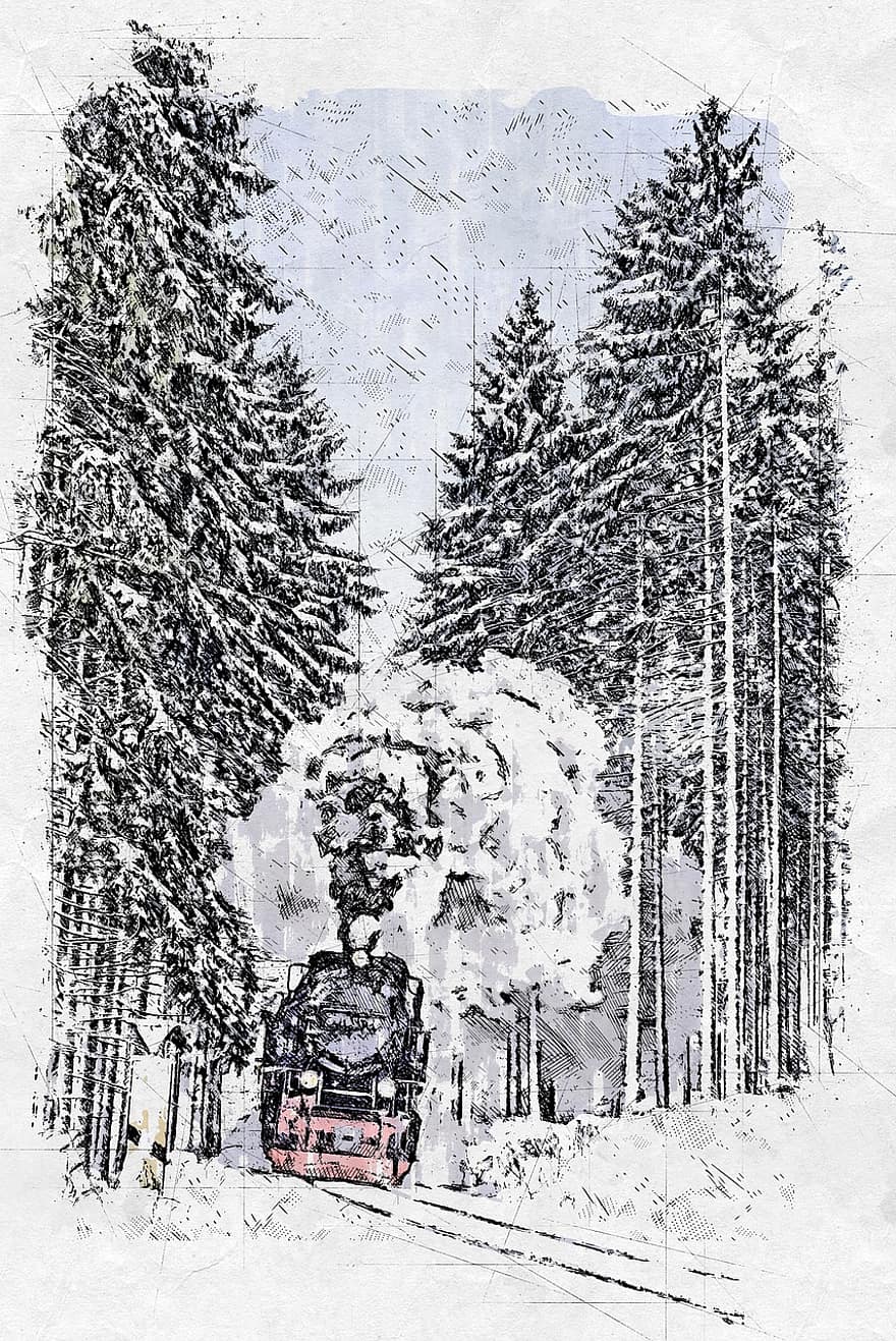 harzer schmalspuhrbahn, talvinen, täysi höyry, lumi, talvi-, kylmä, puu, halla, lumimyrsky, kuusen, vuori