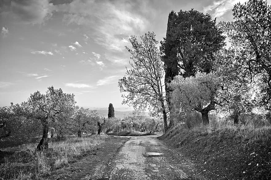 грязная дорога, проселочная дорога, деревья, сельская местность, страна, горные породы, кьянти, Тоскана, дерево, пейзаж, сельская сцена