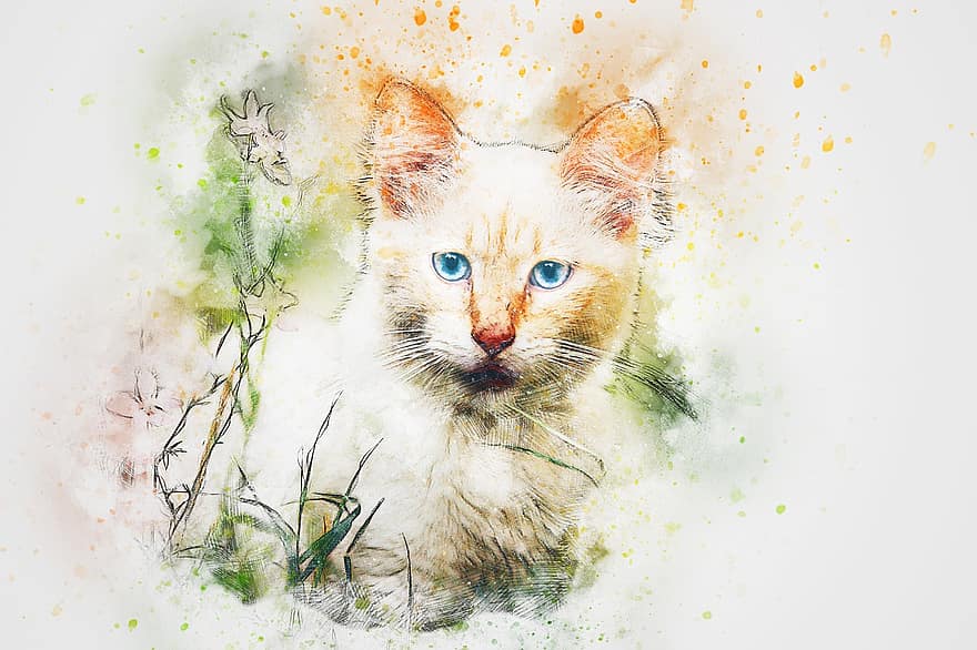 kočka, zvíře, umění, abstraktní, vodové barvy, vinobraní, barvitý, koťátko, tričko, umělecký, design