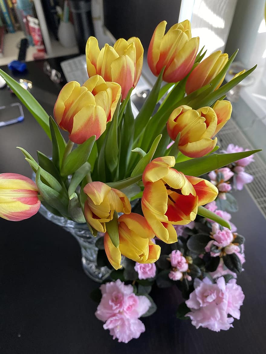 fiori, tulipani, mazzo, piante, natura, primavera, botanica, fioritura, fiorire, petali, crescita