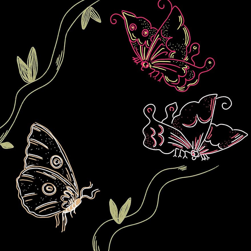 mariposas, garabatear, arte lineal, insectos, animales, alas, rama, ramita, planta, dibujo