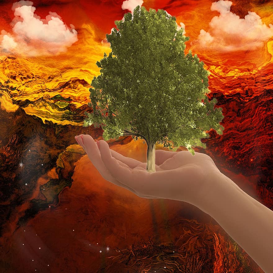 dłoń, drzewo, Natura, trzymać, Zielony, ochrona przyrody, krajobraz