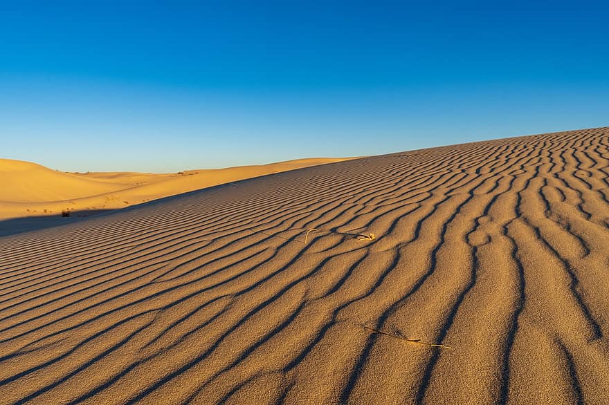 woestijn, zand, duinen, natuur, Texas, landschap, dor, zandduin, droog, droog klimaat, warmte