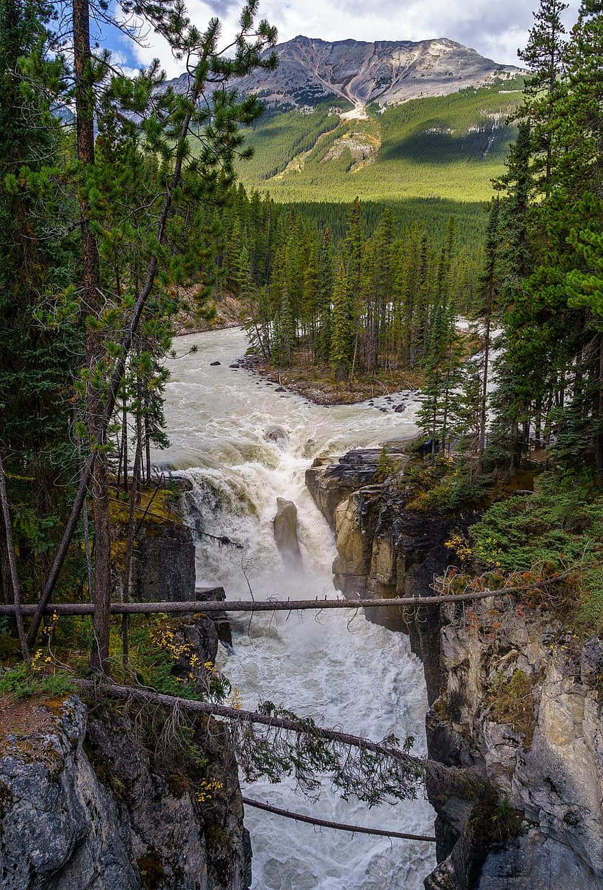 rivier-, bomen, Bos, rotsen, wildernis, rotsachtige Berg, Nationaal Park, landschap, Canada, Jasper, alberta