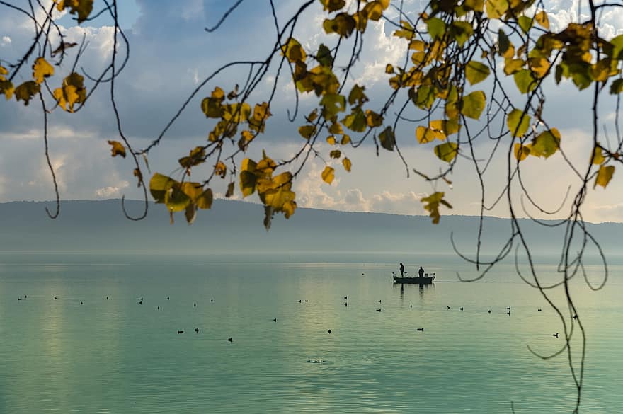Dawn, Lake, Fishing, Boat, Fog, Nature, Blue Water, Yellow Leaves, Autumn, Water, landscape