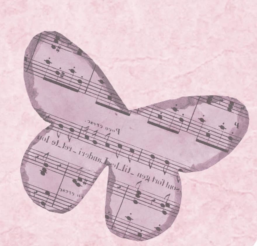 Rosa, fundo, borboleta, papel, página de recados, desenhar, vintage, notas, musical, decorativo, modelo