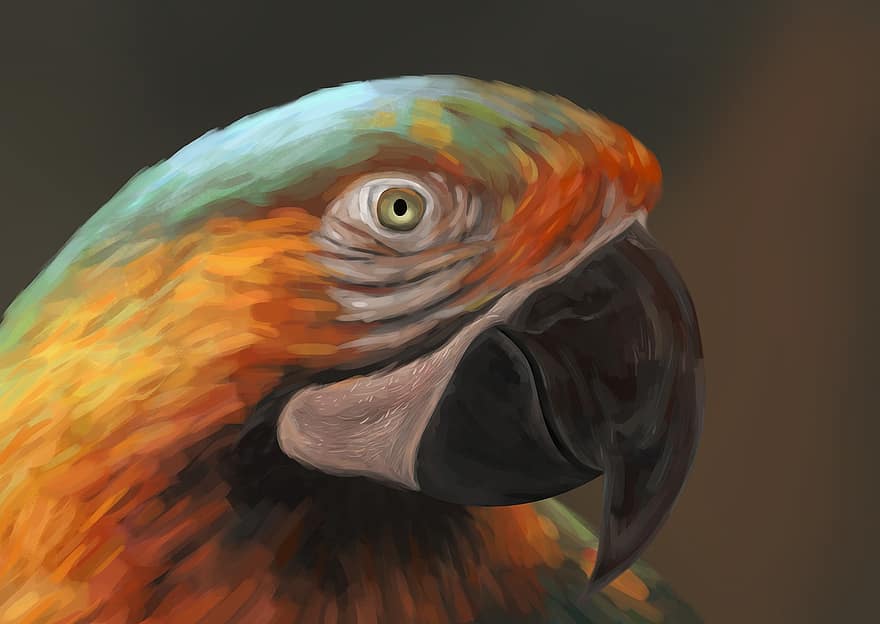 Parrot, Painting, Artwork, Bird, beak, feather, close-up, pets, multi colored, yellow, animal head