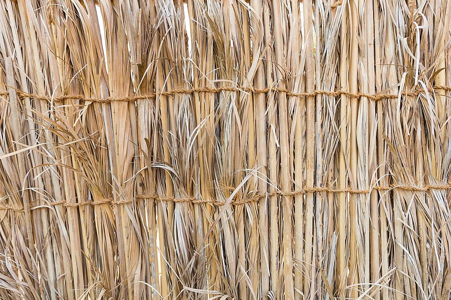 Straw, Grass, Nature, Asia, Background, Bamboo, Cane, backgrounds, close-up, pattern, plant