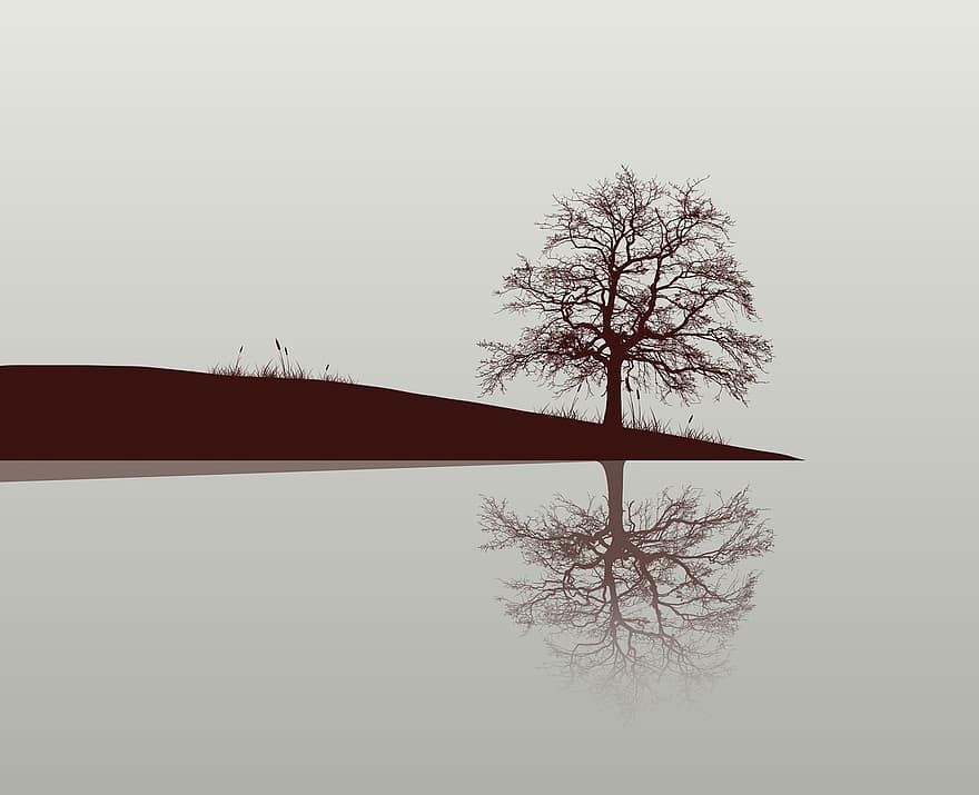 lago, reflexión, árbol, junto al lago, naturaleza